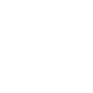 荣誉项目